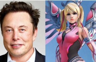 Elon Musk Confirms Amber Heard's Role Play as Video Game Character Mercy 