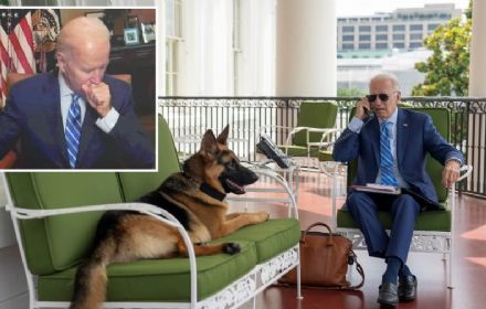 President Biden's Dog Commander Involved in Multiple Biting Incidents, Internal Documents Reveal