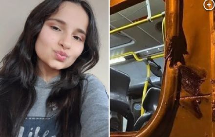 Tragedy Strikes as Brazilian Schoolgirl Fatally Injured in Heartbreaking School Bus Accident