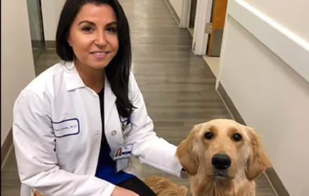 Tragic Murder-Suicide Shakes New York Medical Community: Top NYC Cancer Doctor and Baby Found Dead in Westchester Home